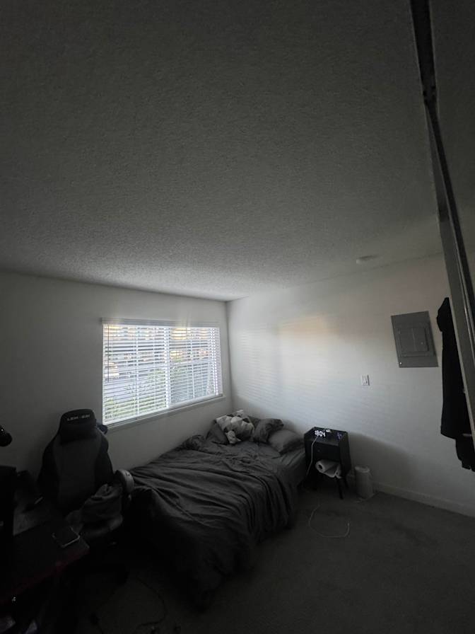 Hamad's room