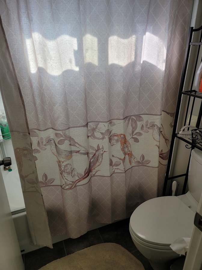 Alex's room