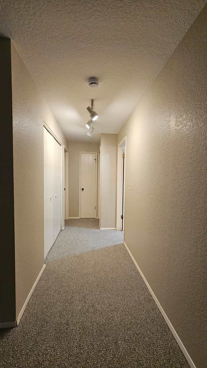 Sebastian's room