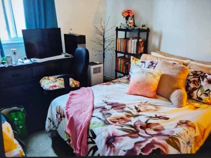 john Lawrence Bortolin's room