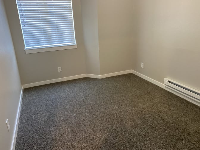 shelby's room