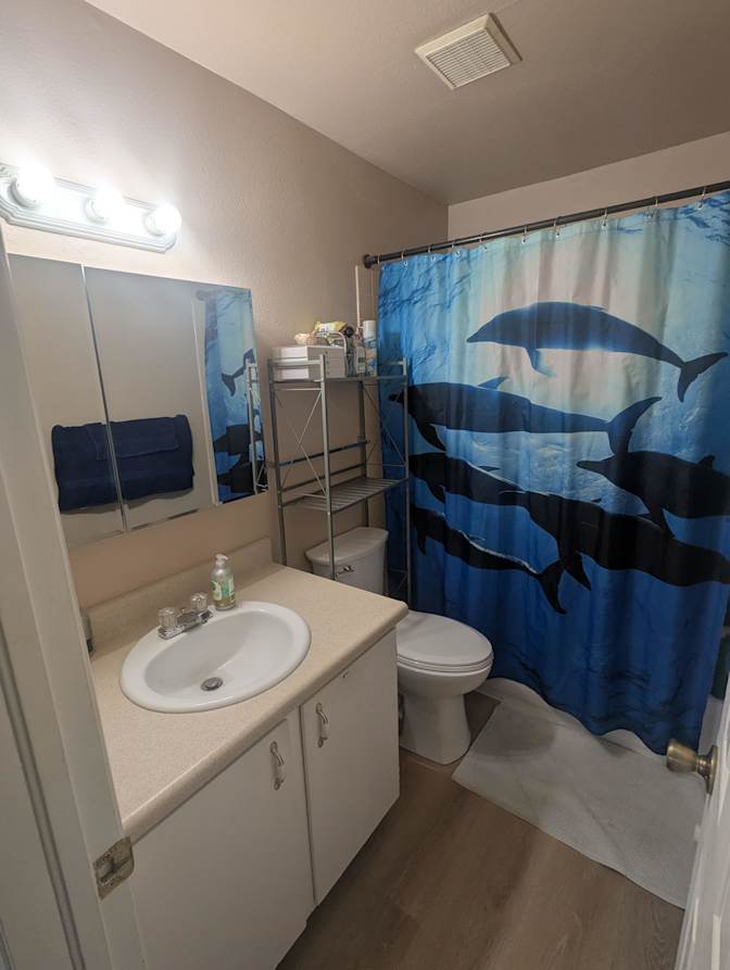 Hannah's room