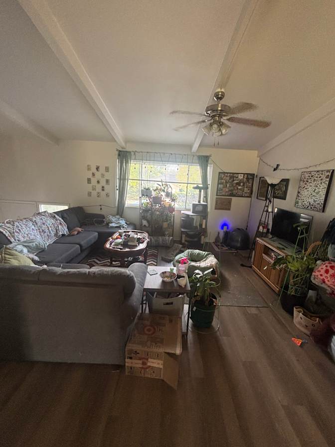 Chelsea's room