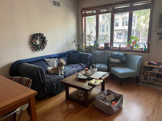 lora Morgenstern's room
