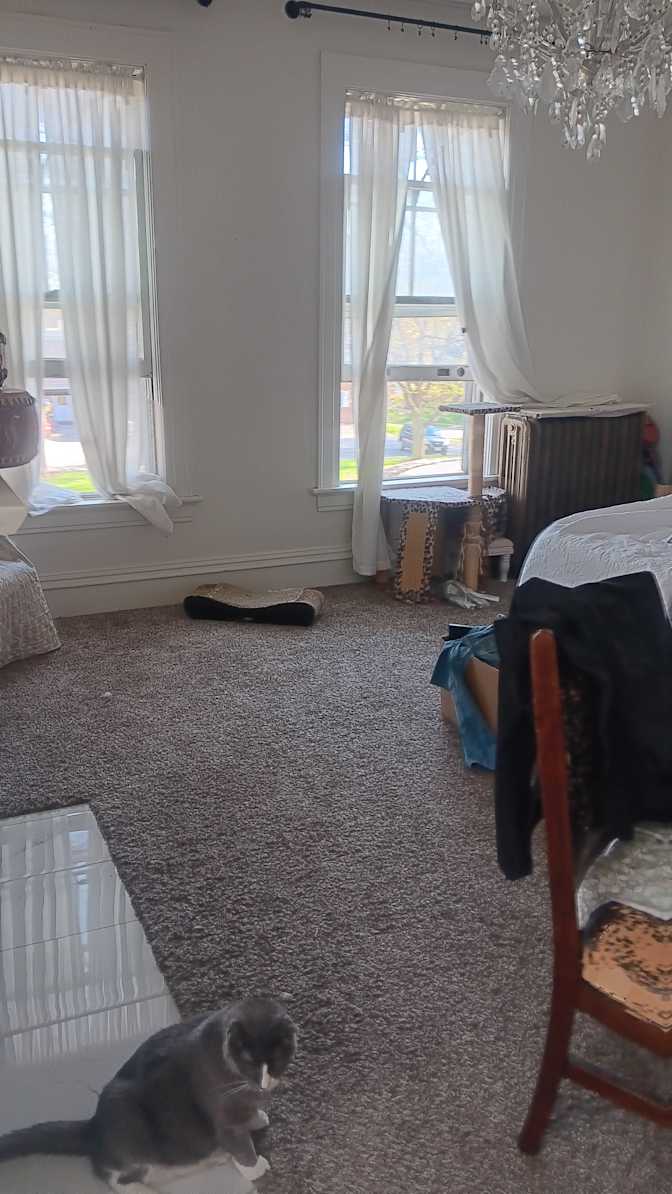 Cindy's room