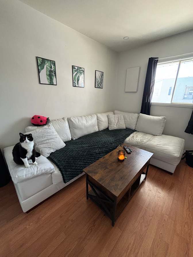 Cassidy Wadey's room