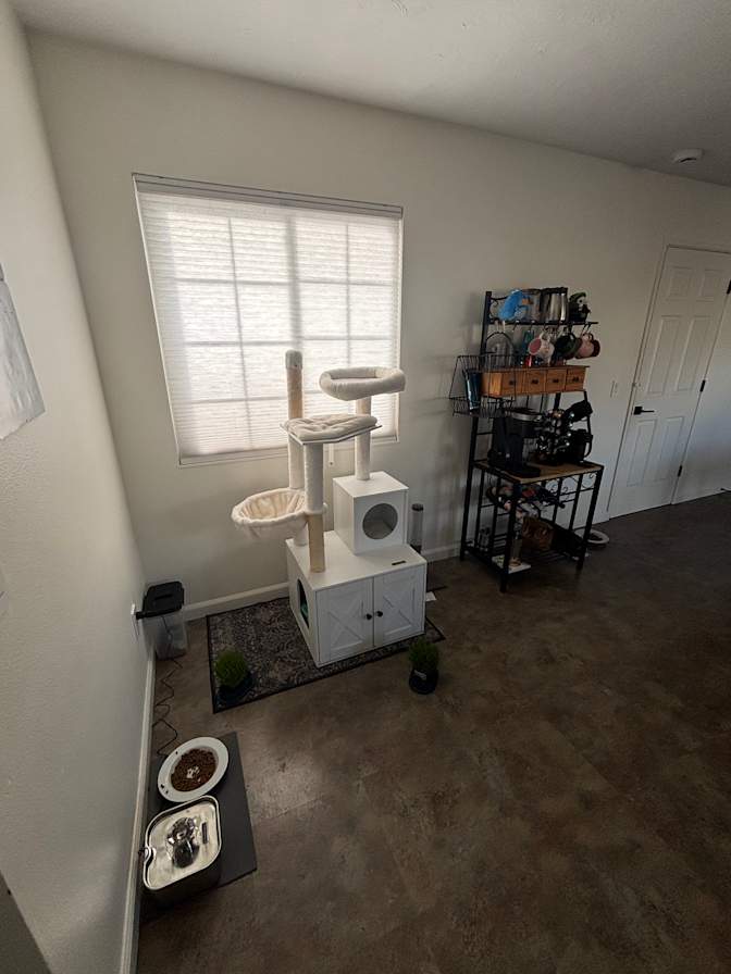 Silva's room
