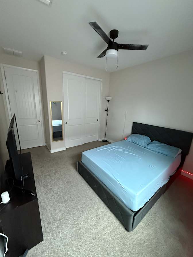 Solomon's room