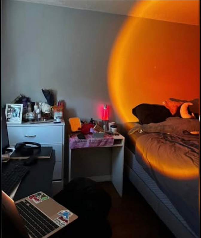 Amy's room