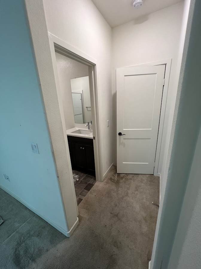 Mayo's room