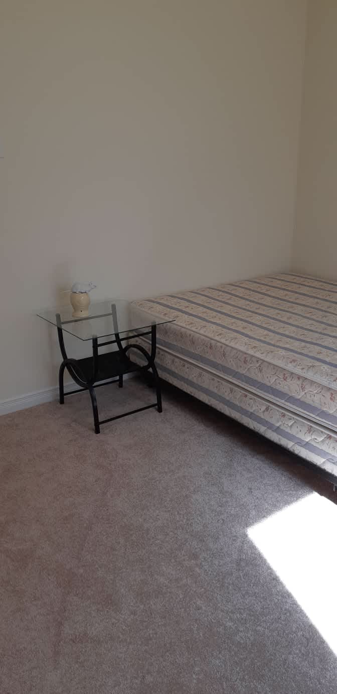 Shaheen's room