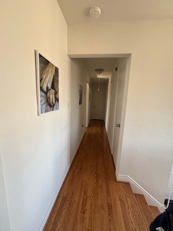 Omar's room