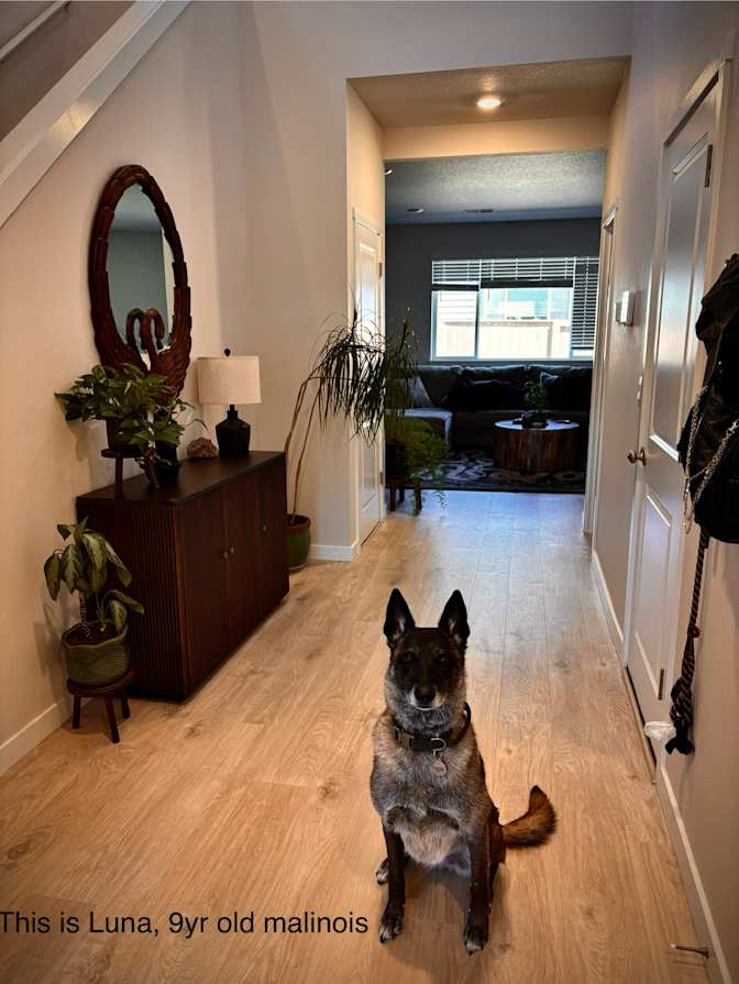 Kaiya's room