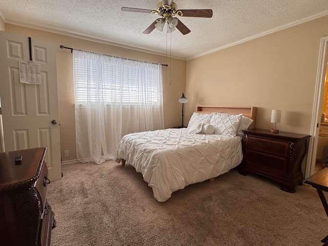 Alexander's room