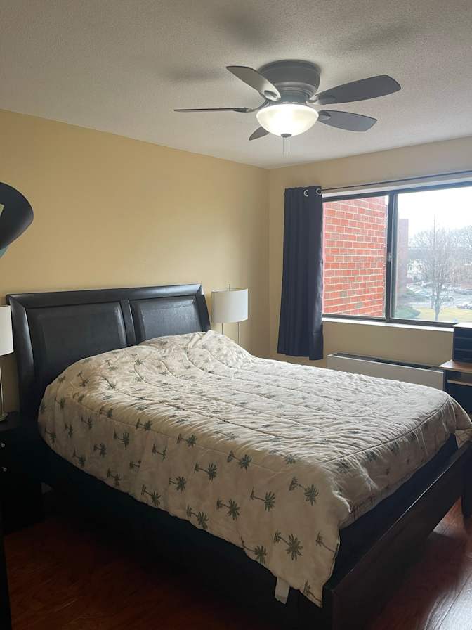 Sandy Habashy's room