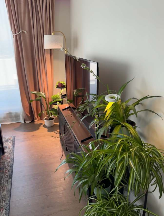 navi's room