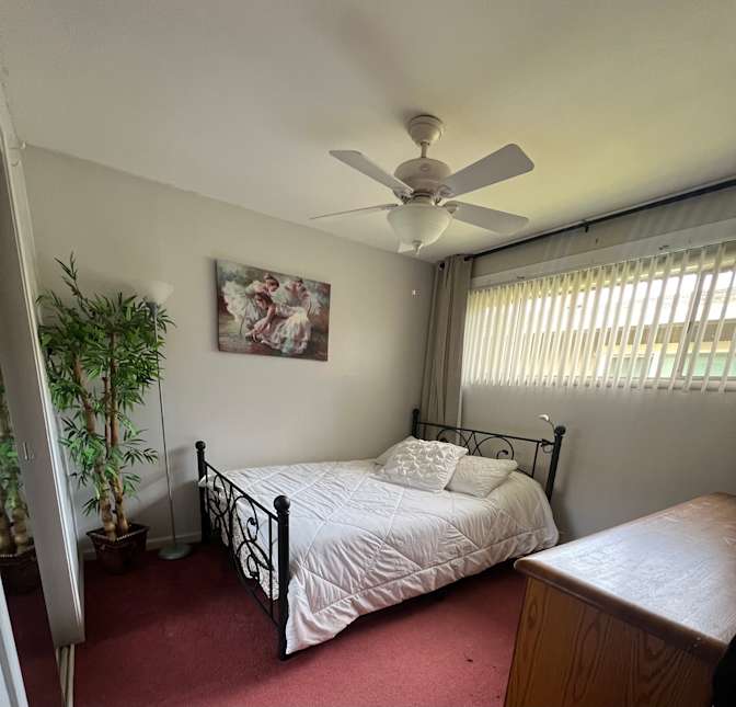 sil's room