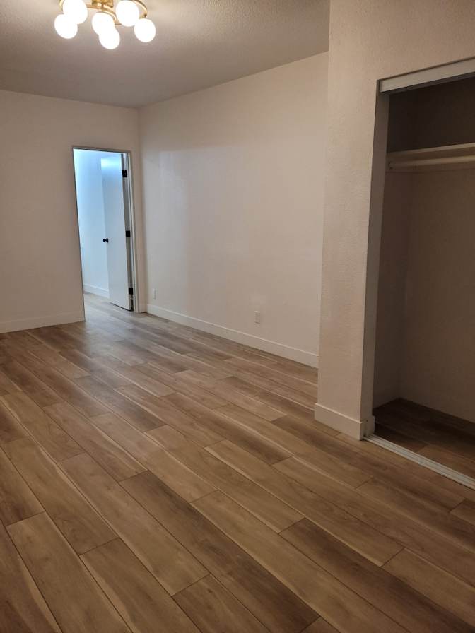 Amber's room