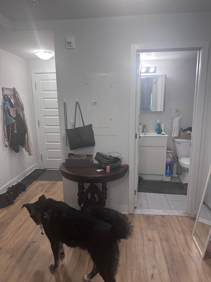 Kelliya's room
