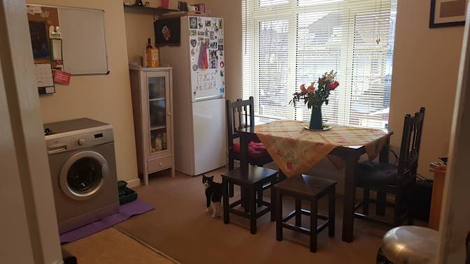 Mark's room