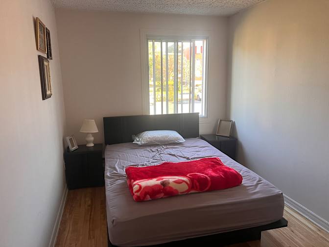 Noureddine's room