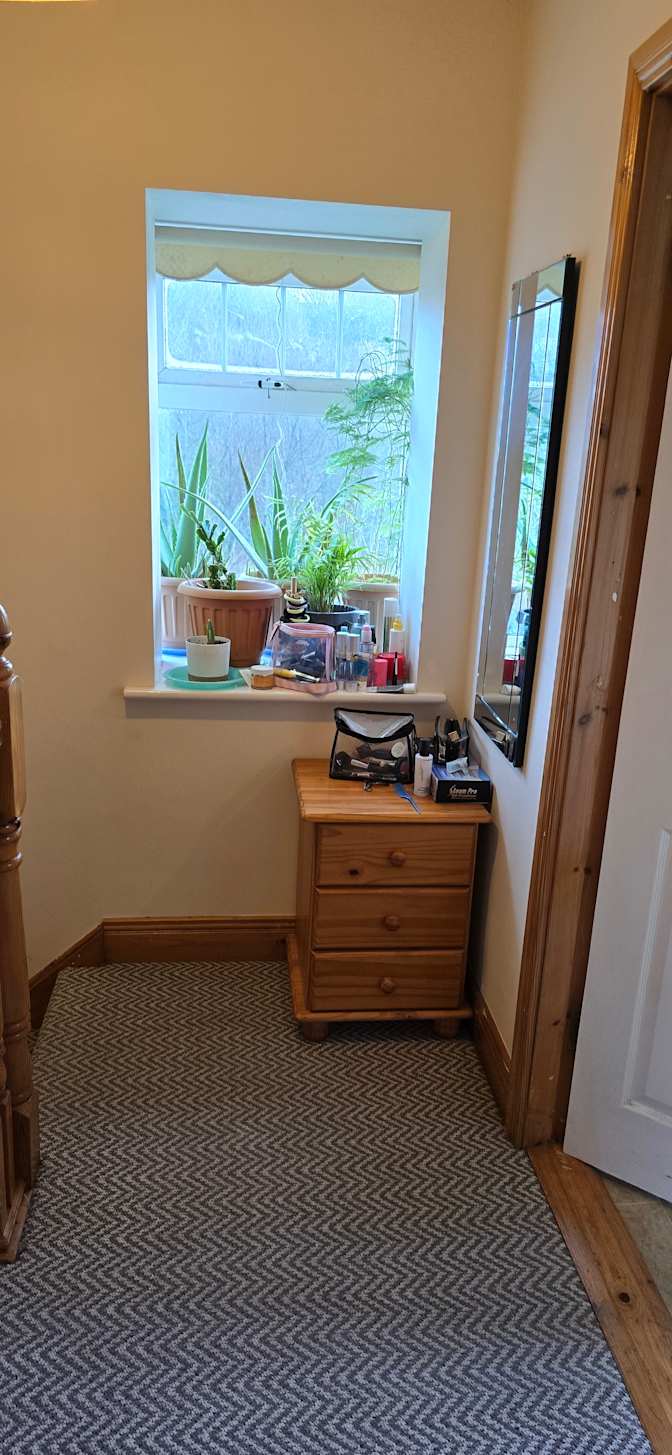 Alan Noronha's room