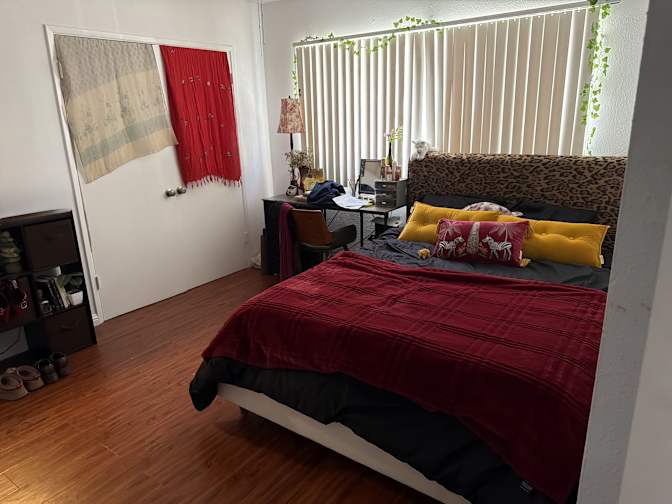 Ashley Costello's room