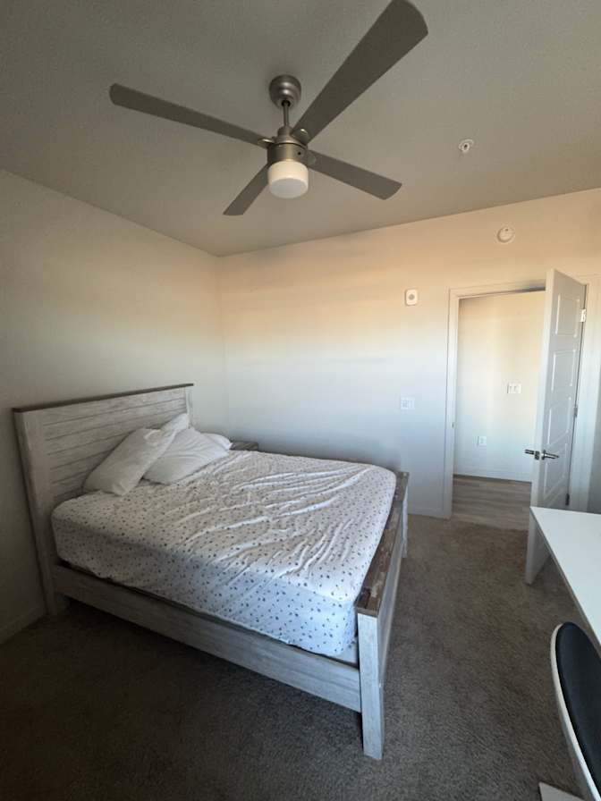 Zach's room