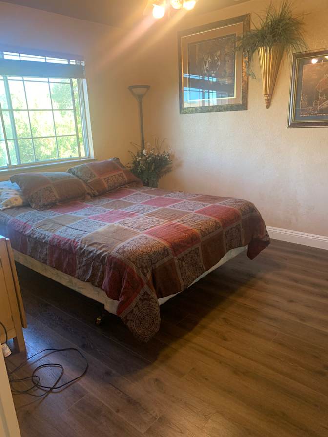 Ellen's room