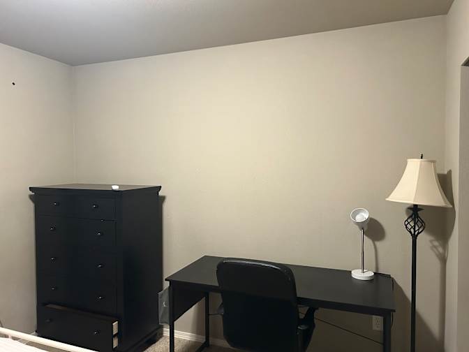 Mary's room