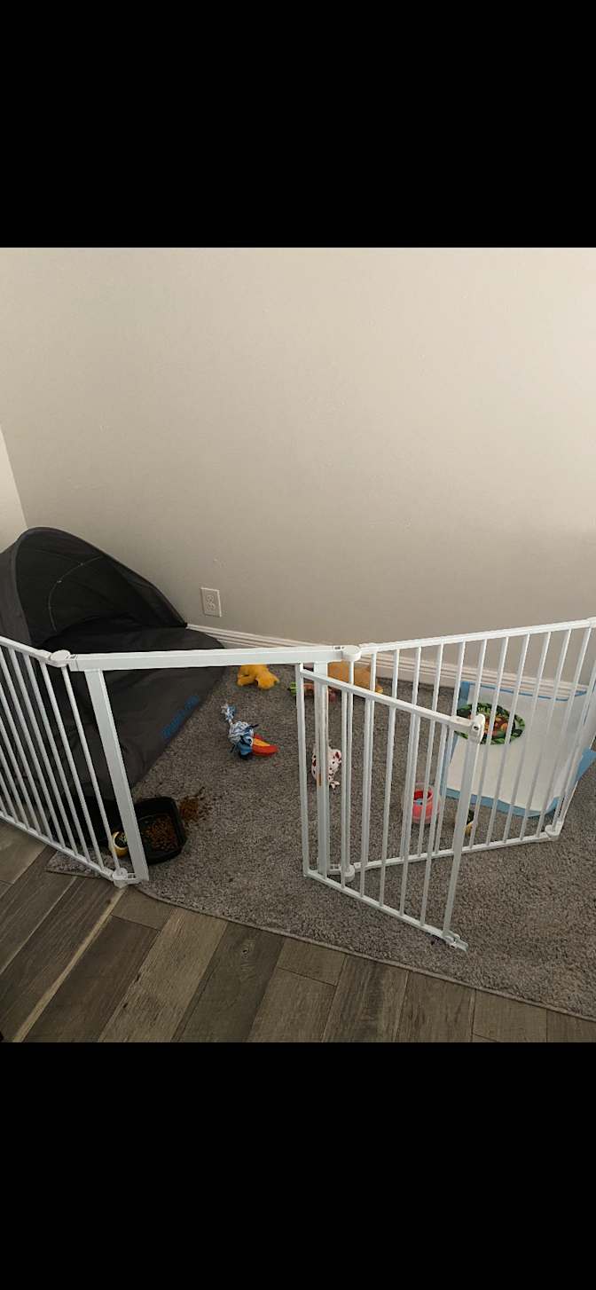 Jojo's room