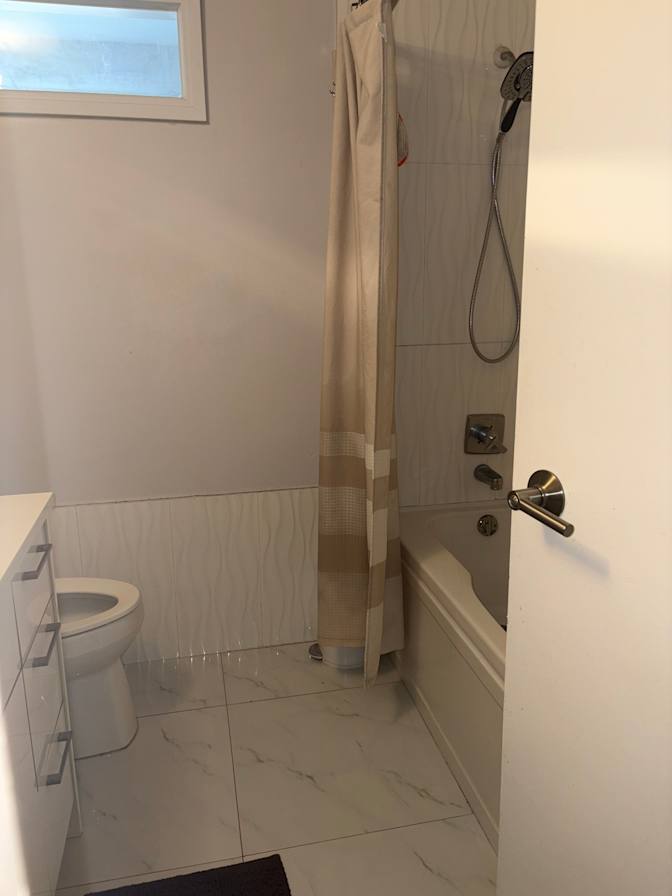 Pari Moradi's room