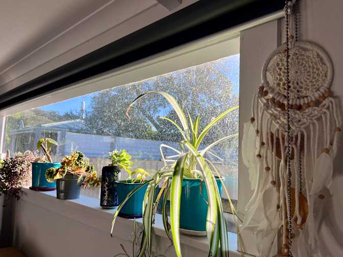 Danya Gromski's room