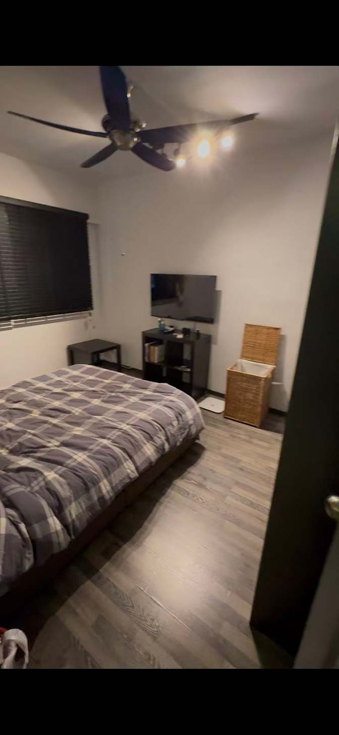 Yang's room