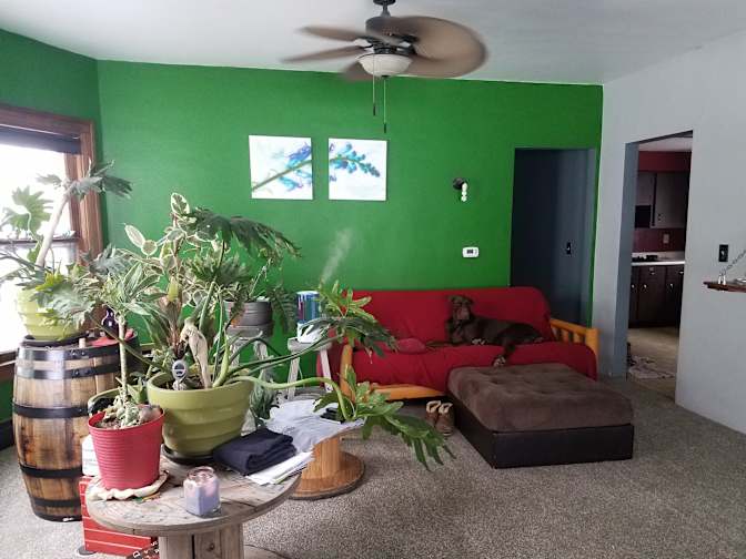 Norman Freiert's room