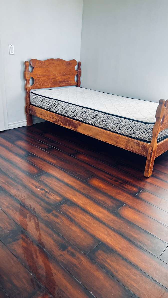 Lily's room