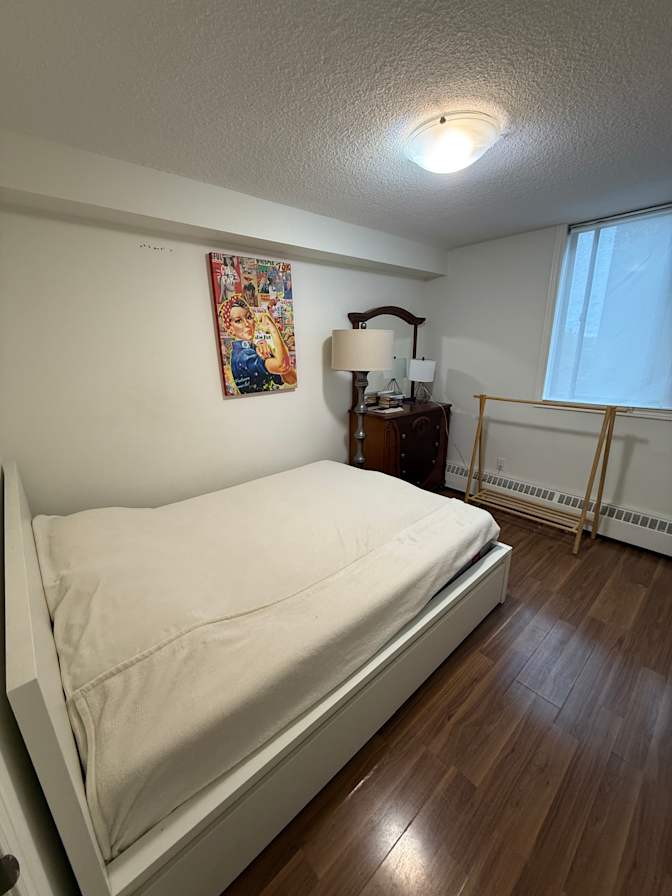 Dmitry's room