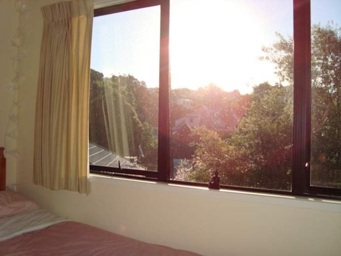 David's room