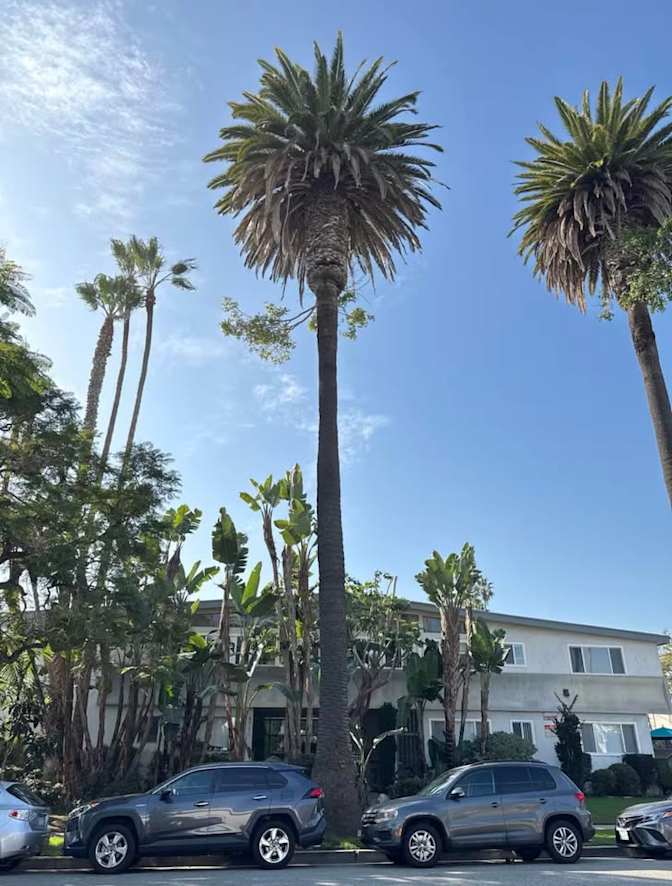 Dogukan's room