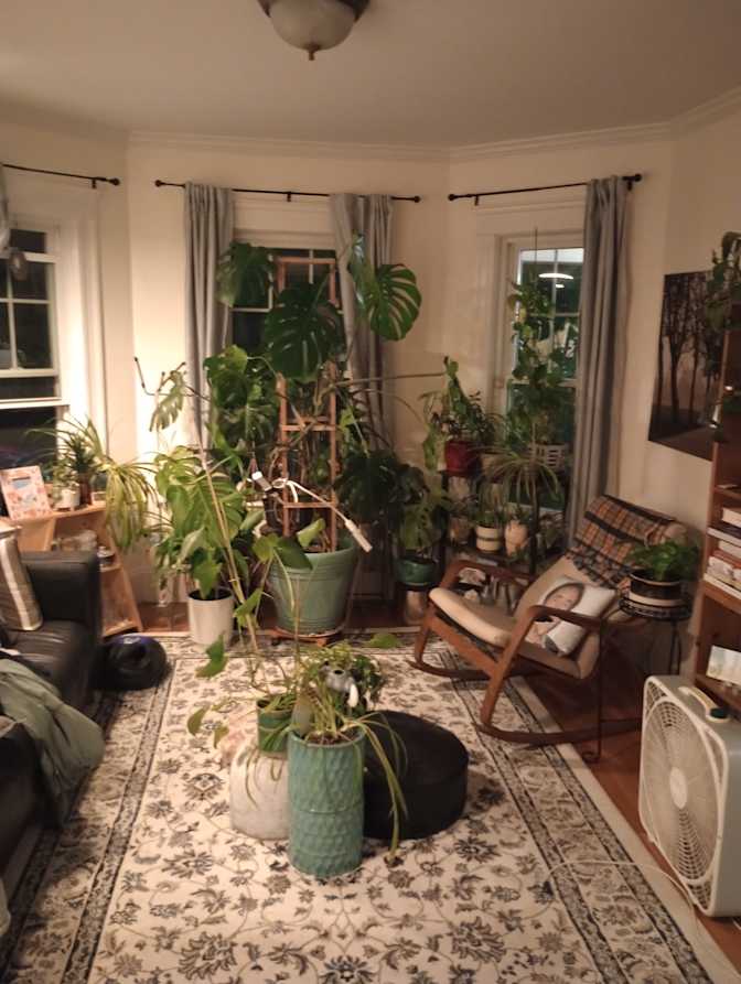 Theodore R Cox III's room