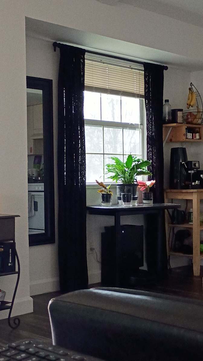 Elliott's room