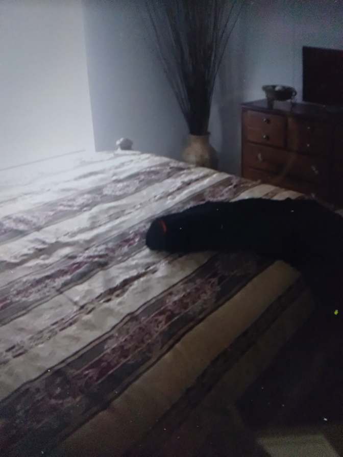 Marlene's room