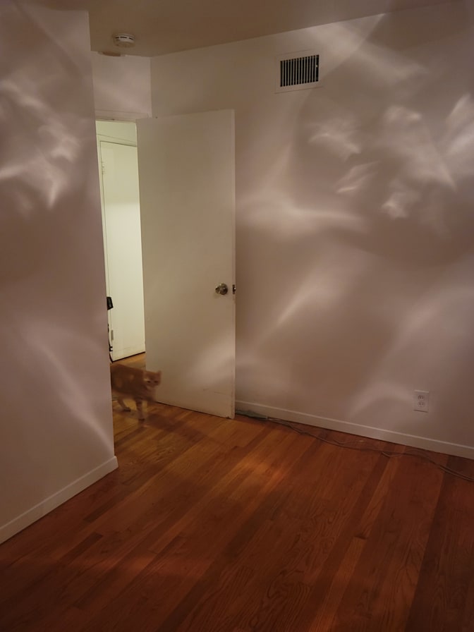 Roberta's room