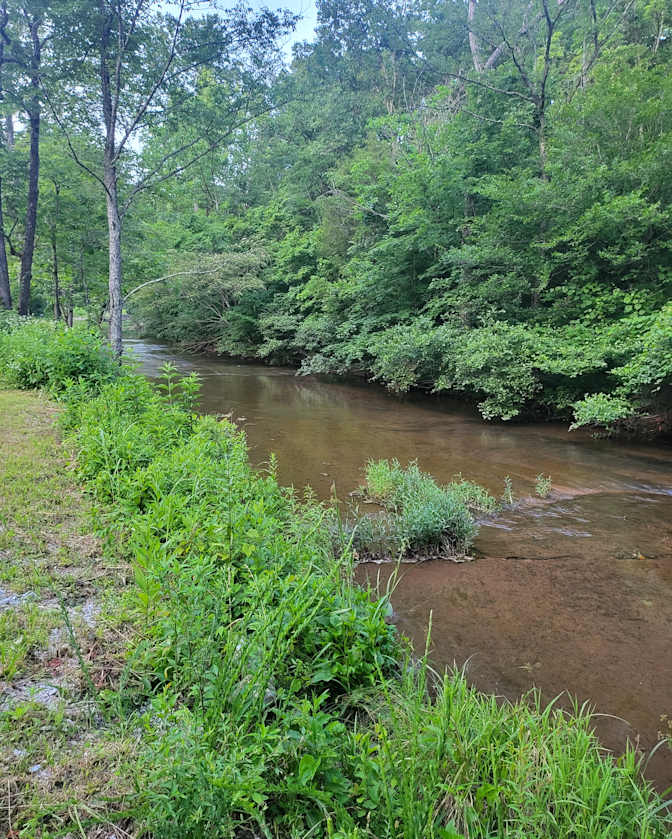 Ryan's room