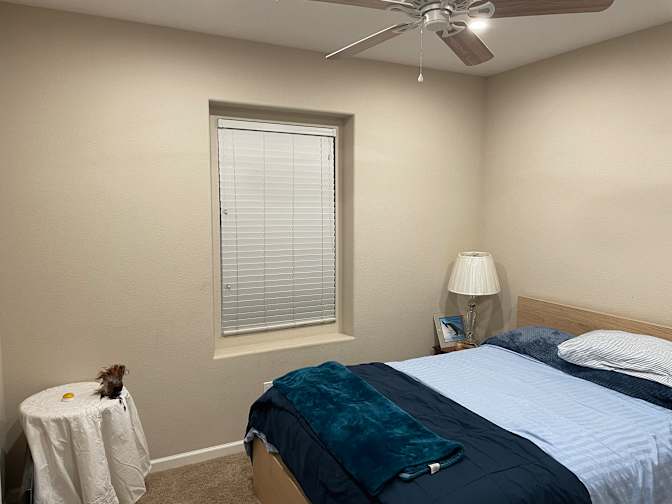 David's room