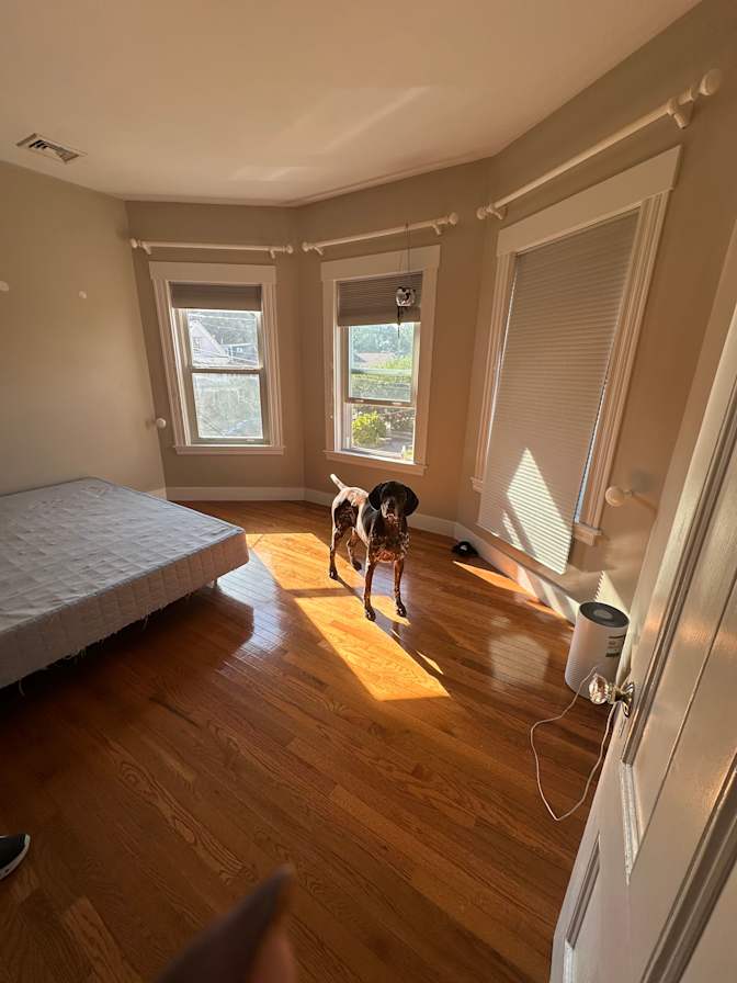 Louise's room