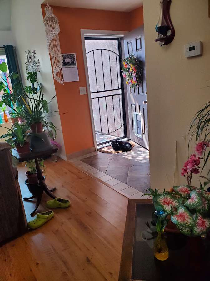 Cindi's room