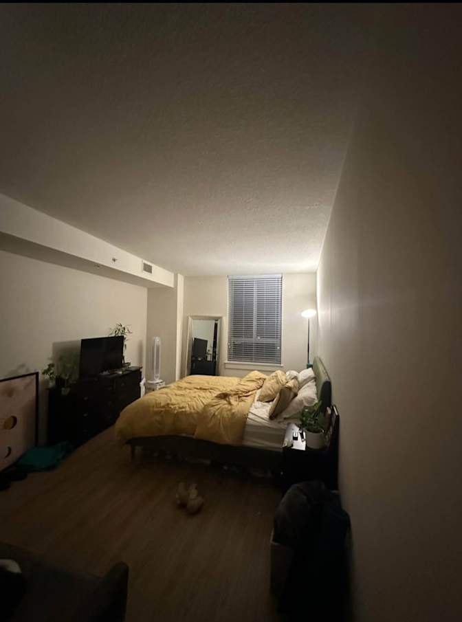 Leila's room