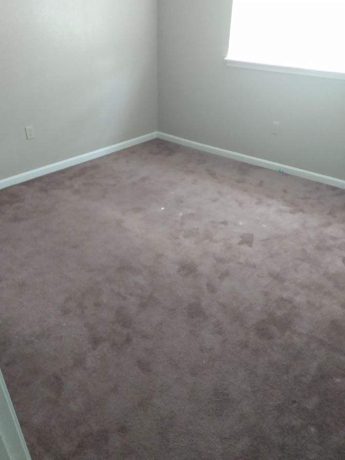 todd's room