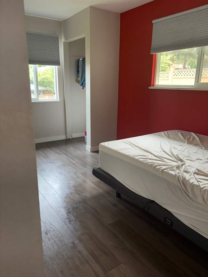 Pari Moradi's room